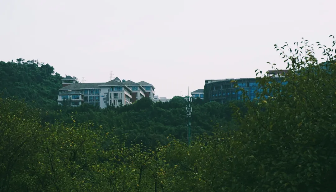 重庆送到家社区团购平台产品选品策略与供应商合作指南